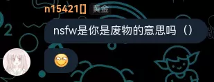 《对于NSFW这个词的天才解读》.webp